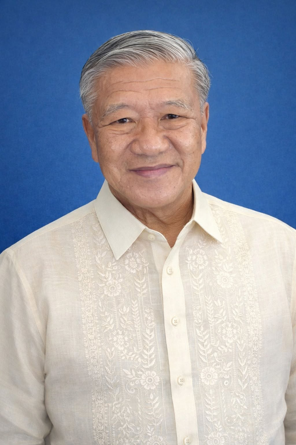 Hon. Manuel A. Dalipe